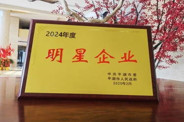 新春新景新气象 | 乐竞体育官网登录入口在平湖三干大会上喜摘荣誉！